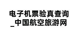 电子机票验真查询_中国航空旅游网 