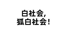 白社会,狐白社会！