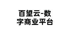 百望云-数字商业平台