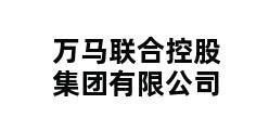 万马联合控股集团有限公司