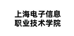 上海电子信息职业技术学院