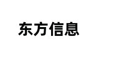 东方信息