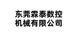 东莞霖泰数控机械有限公司