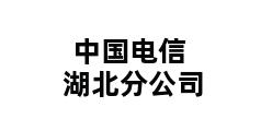 中国电信湖北分公司