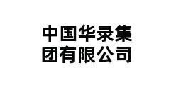 中国华录集团有限公司