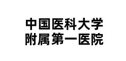 中国医科大学附属第一医院