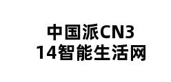 中国派CN314智能生活网