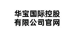 华宝国际控股有限公司官网