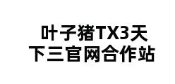 叶子猪TX3天下三官网合作站 