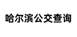 哈尔滨公交查询