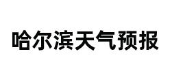 哈尔滨天气预报