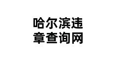 哈尔滨违章查询网