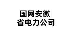 国网安徽省电力公司