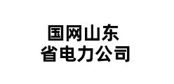 国网山东省电力公司