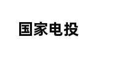 国家电投