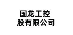 国龙工控股有限公司