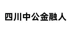 四川中公金融人 