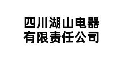 四川湖山电器有限责任公司