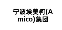 宁波埃美柯(Amico)集团