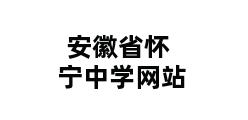 安徽省怀宁中学网站 