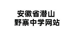 安徽省潜山野寨中学网站