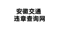 安徽交通违章查询网