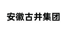 安徽古井集团