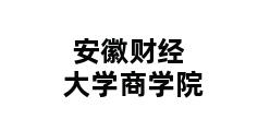 安徽财经大学商学院 