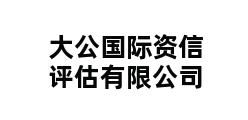 大公国际资信评估有限公司