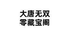 大唐无双零藏宝阁