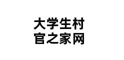 大学生村官之家网