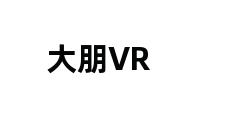 大朋VR