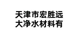 天津市宏胜远大净水材料有