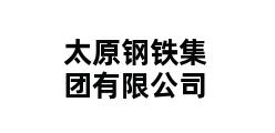 太原钢铁集团有限公司