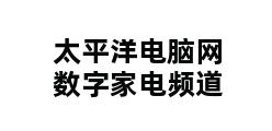 太平洋电脑网数字家电频道