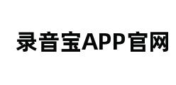 录音宝APP官网