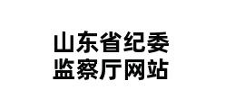 山东省纪委监察厅网站