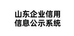 山东企业信用信息公示系统