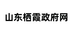 山东栖霞政府网