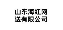 山东海红网送有限公司