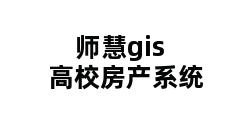 师慧gis高校房产系统