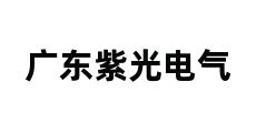 广东紫光电气