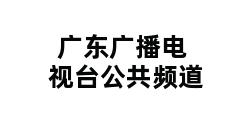 广东广播电视台公共频道