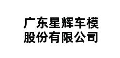 广东星辉车模股份有限公司