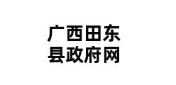 广西田东县政府网