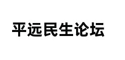 平远民生论坛