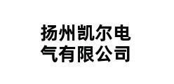 扬州凯尔电气有限公司