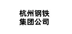 杭州钢铁集团公司 