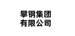 攀钢集团有限公司