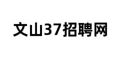 文山37招聘网